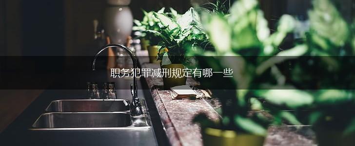 职务犯罪减刑规定有哪一些,第1张