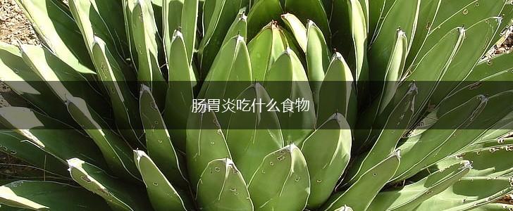 肠胃炎吃什么食物,第1张