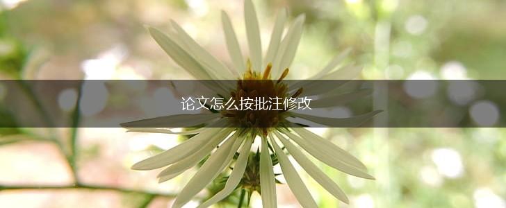 论文怎么按批注修改,第1张