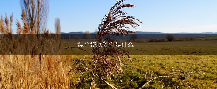 混合贷款条件是什么,第1张