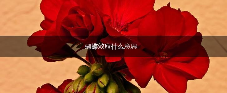 蝴蝶效应什么意思,第1张