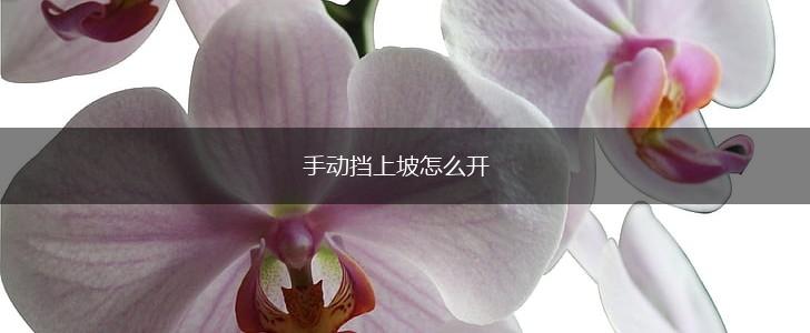手动挡上坡怎么开,第1张