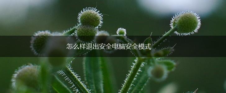 怎么样退出安全电脑安全模式,第1张