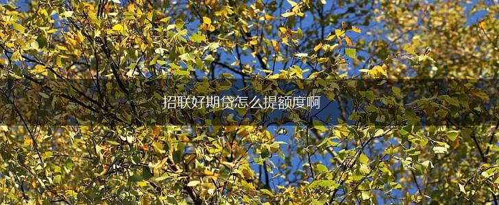 招联好期贷怎么提额度啊,第1张