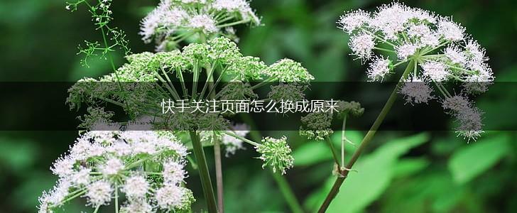 快手关注页面怎么换成原来,第1张