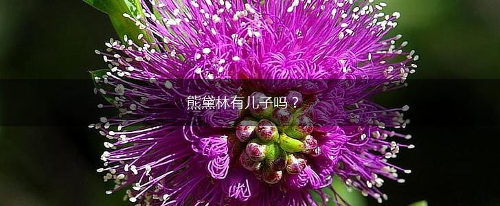 熊黛林有儿子吗？,第1张