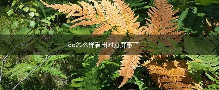 qq怎么样看出对方屏蔽了,第1张