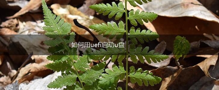 如何用uefi启动u盘,第1张
