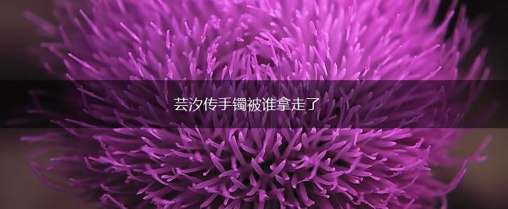 芸汐传手镯被谁拿走了,第1张