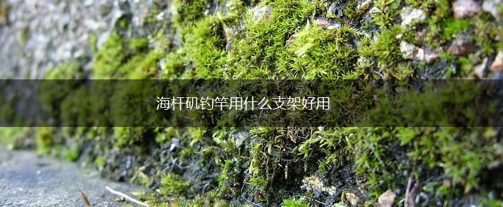 海杆矶钓竿用什么支架好用,第1张