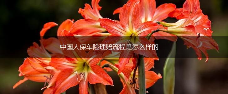 中国人保车险理赔流程是怎么样的,第1张