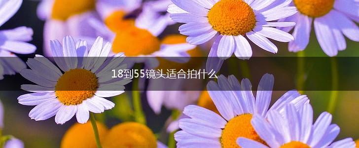 18到55镜头适合拍什么,第1张