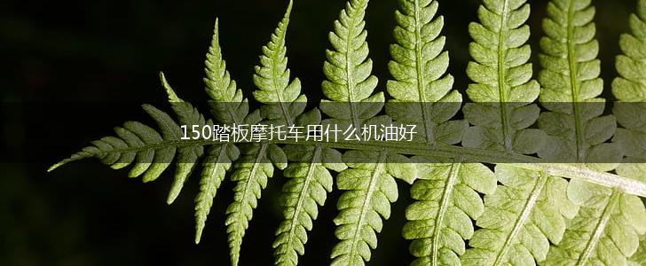 150踏板摩托车用什么机油好,第1张