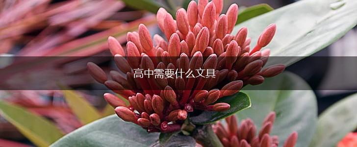 高中需要什么文具,第1张