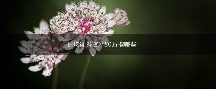日均证券资产50万指哪些,第1张