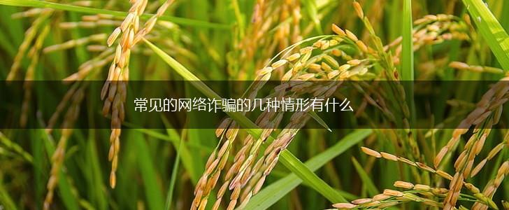 常见的网络诈骗的几种情形有什么,第1张