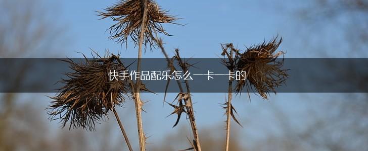 快手作品配乐怎么一卡一卡的,第1张