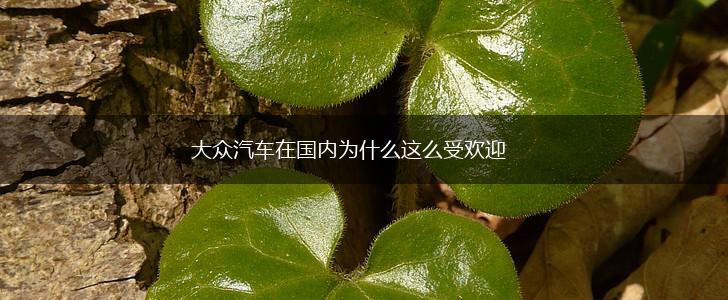 大众汽车在国内为什么这么受欢迎,第1张