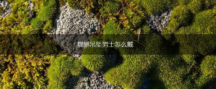 貔貅吊坠男士怎么戴,第1张