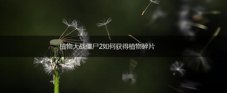 植物大战僵尸2如何获得植物碎片,第1张