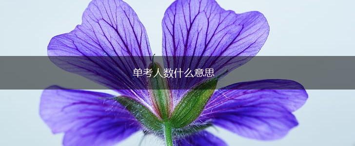 单考人数什么意思,第1张