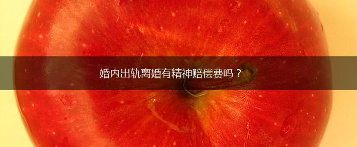 婚内出轨离婚有精神赔偿费吗？,第1张