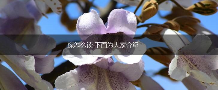 傑怎么读 下面为大家介绍,第1张