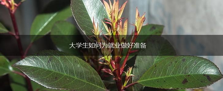 大学生如何为就业做好准备,第1张