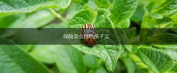 保险怎么样给孩子买,第1张