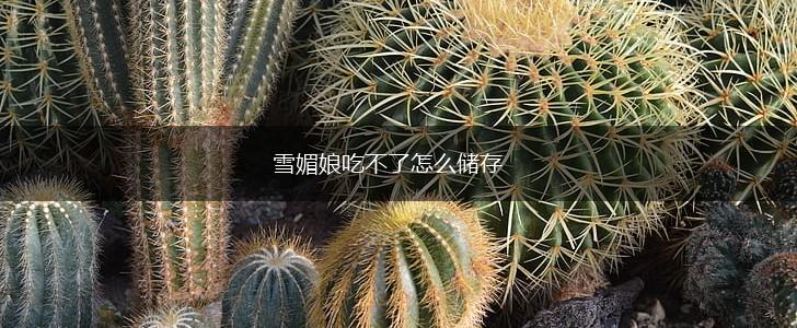 雪媚娘吃不了怎么储存,第1张