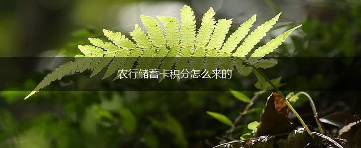 农行储蓄卡积分怎么来的,第1张