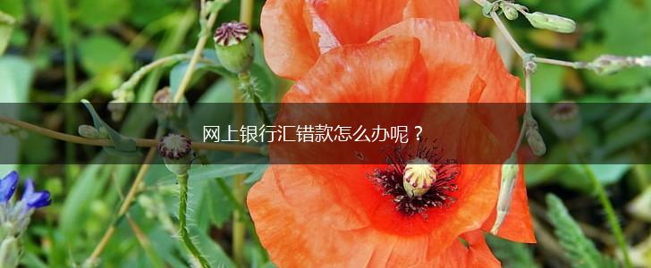 网上银行汇错款怎么办呢？,第1张