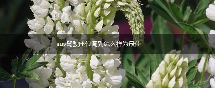 suv驾驶座位调到怎么样为最佳,第1张