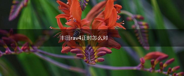 丰田rav4正时怎么对,第1张