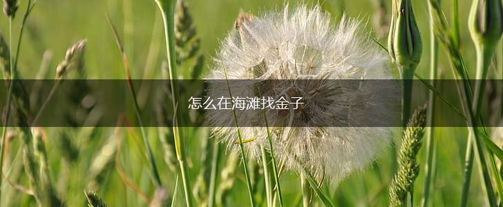 怎么在海滩找金子,第1张