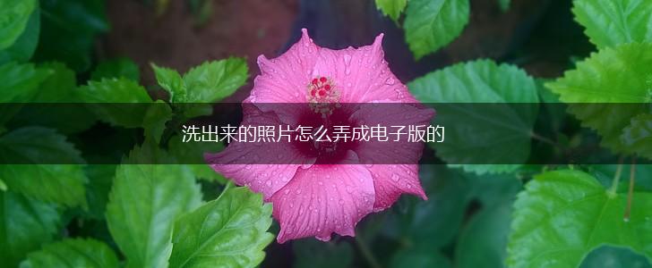 洗出来的照片怎么弄成电子版的,第1张