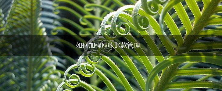 如何加强应收账款管理,第1张