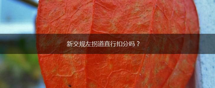 新交规左拐道直行扣分吗？,第1张