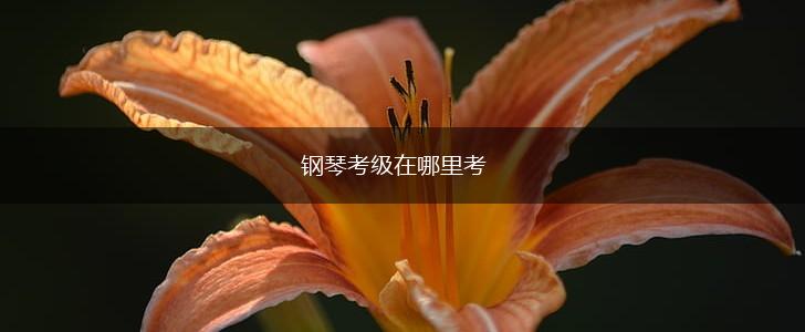 钢琴考级在哪里考,第1张