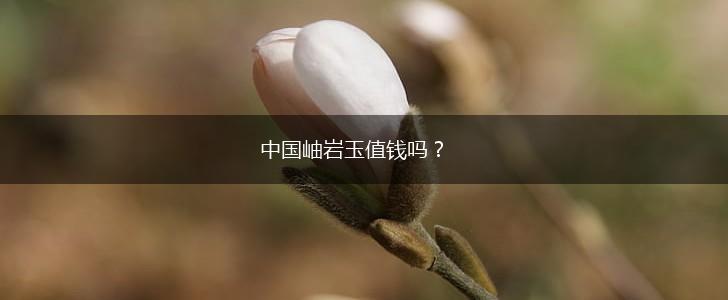 中国岫岩玉值钱吗？,第1张