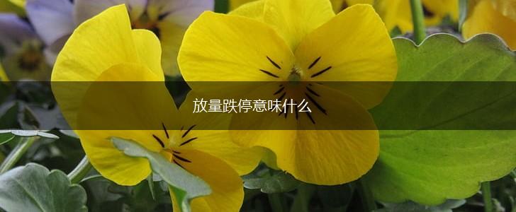 放量跌停意味什么,第1张