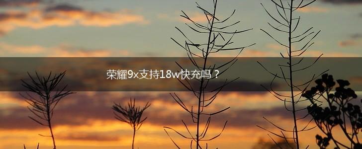 荣耀9x支持18w快充吗？,第1张