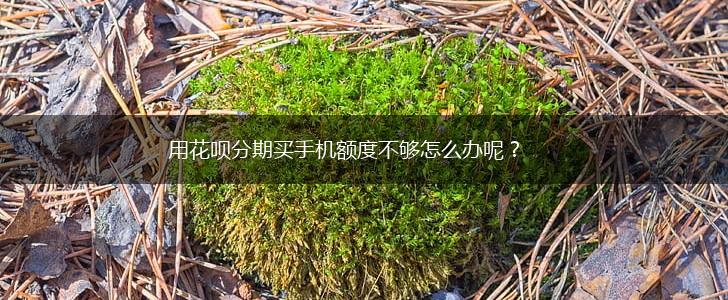 用花呗分期买手机额度不够怎么办呢？,第1张