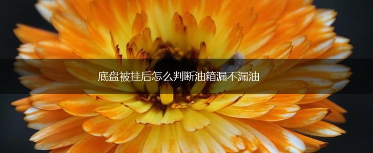 底盘被挂后怎么判断油箱漏不漏油,第1张