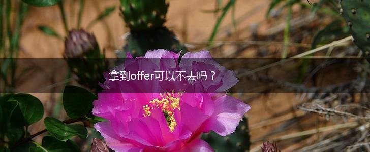 拿到offer可以不去吗？,第1张