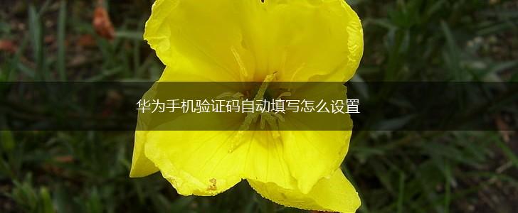 华为手机验证码自动填写怎么设置,第1张