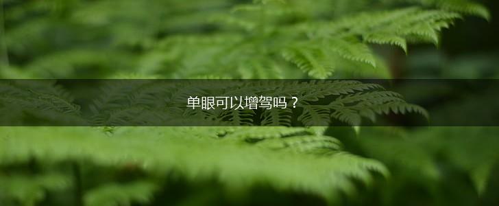 单眼可以增驾吗？,第1张