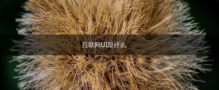 互联网UI是什么,第1张