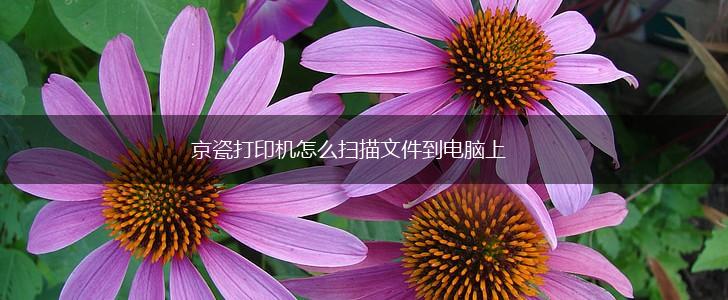 京瓷打印机怎么扫描文件到电脑上,第1张