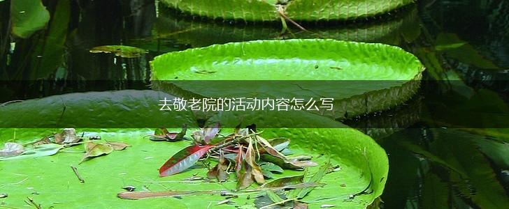 去敬老院的活动内容怎么写,第1张